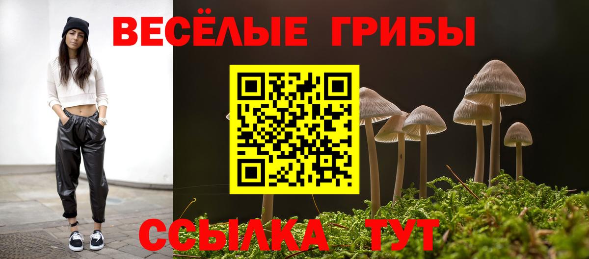 Галлюциногенные грибы MAGIC MUSHROOMS  Вход с VPN  Урюпинск  Галлюциногенные грибы Magic Shrooms 